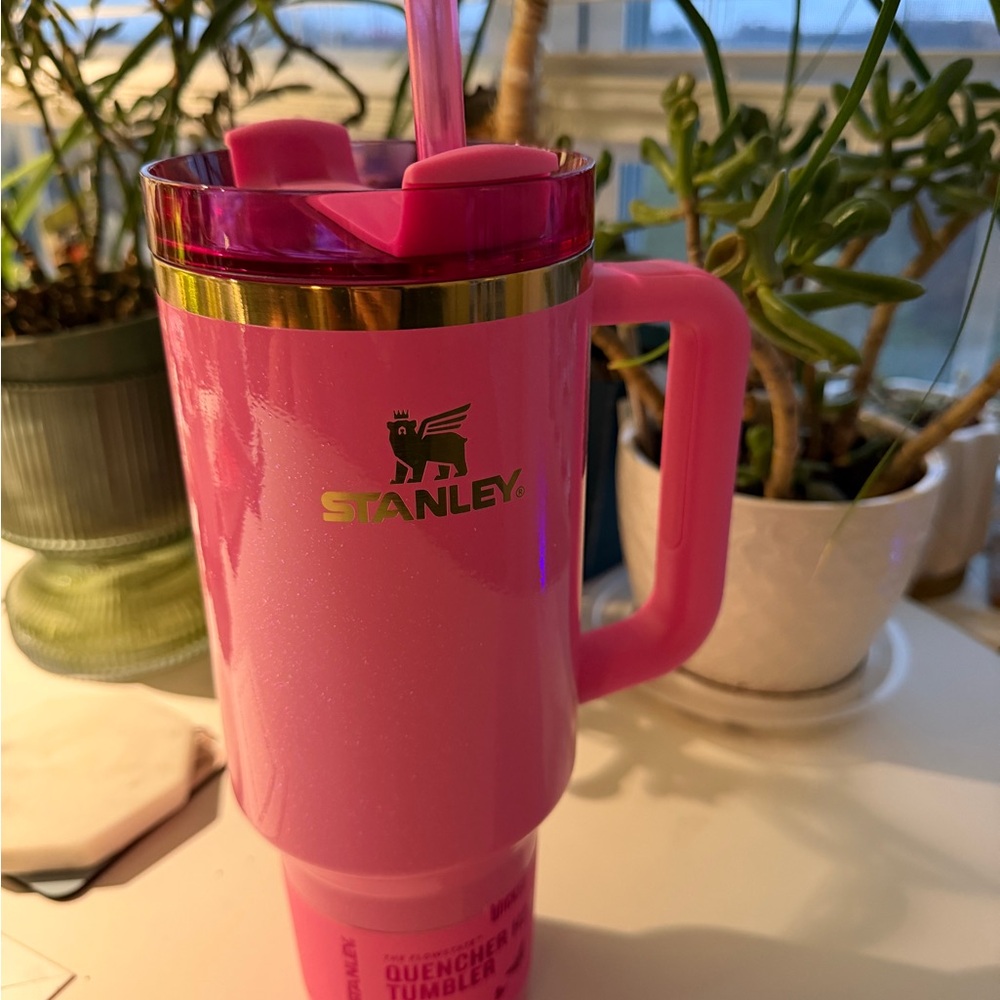 Stanley Vibrant Pink Tumbler with Gold Accent - Wicked- Glinda